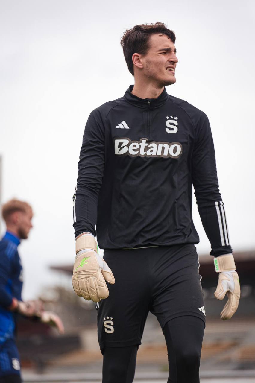 Jakub Surovčík’s Brave GK Diamond Purple Gloves - Official Brave GK Online Store