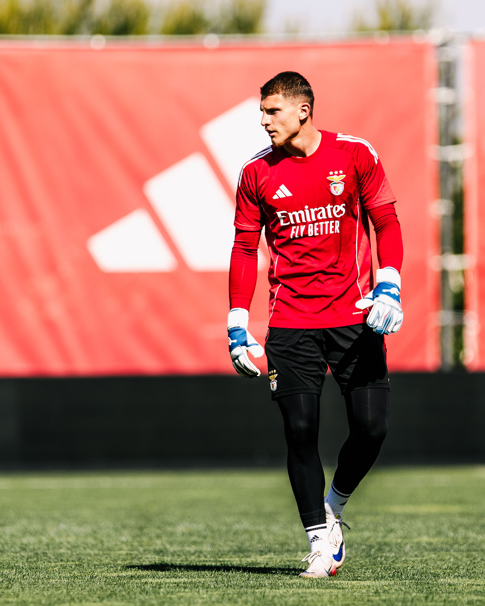 Arnas Voitinovičius plays in Brave GK Unique NG - Official Brave GK online store