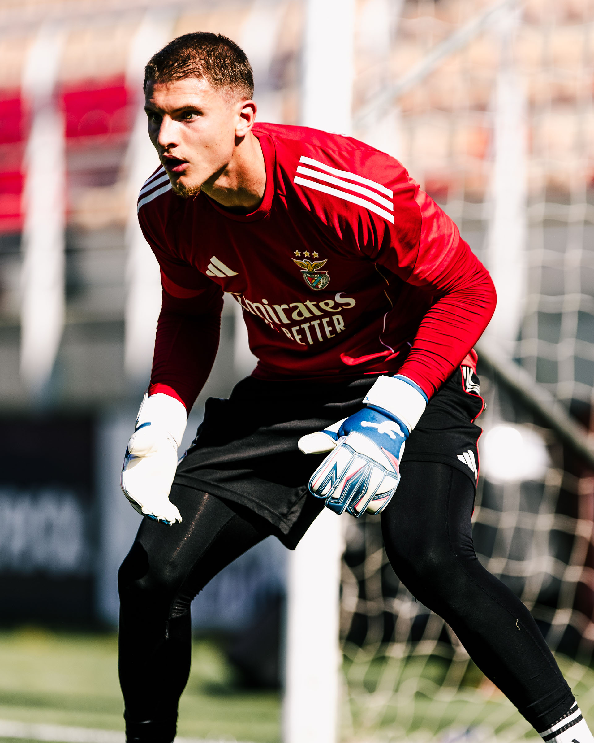 Brave GK Unique NG goalkeeper gloves - Official Brave GK online store