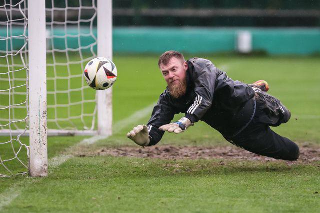 Goalkeeper gloves Brave GK Fury Pro - Official Brave GK online store