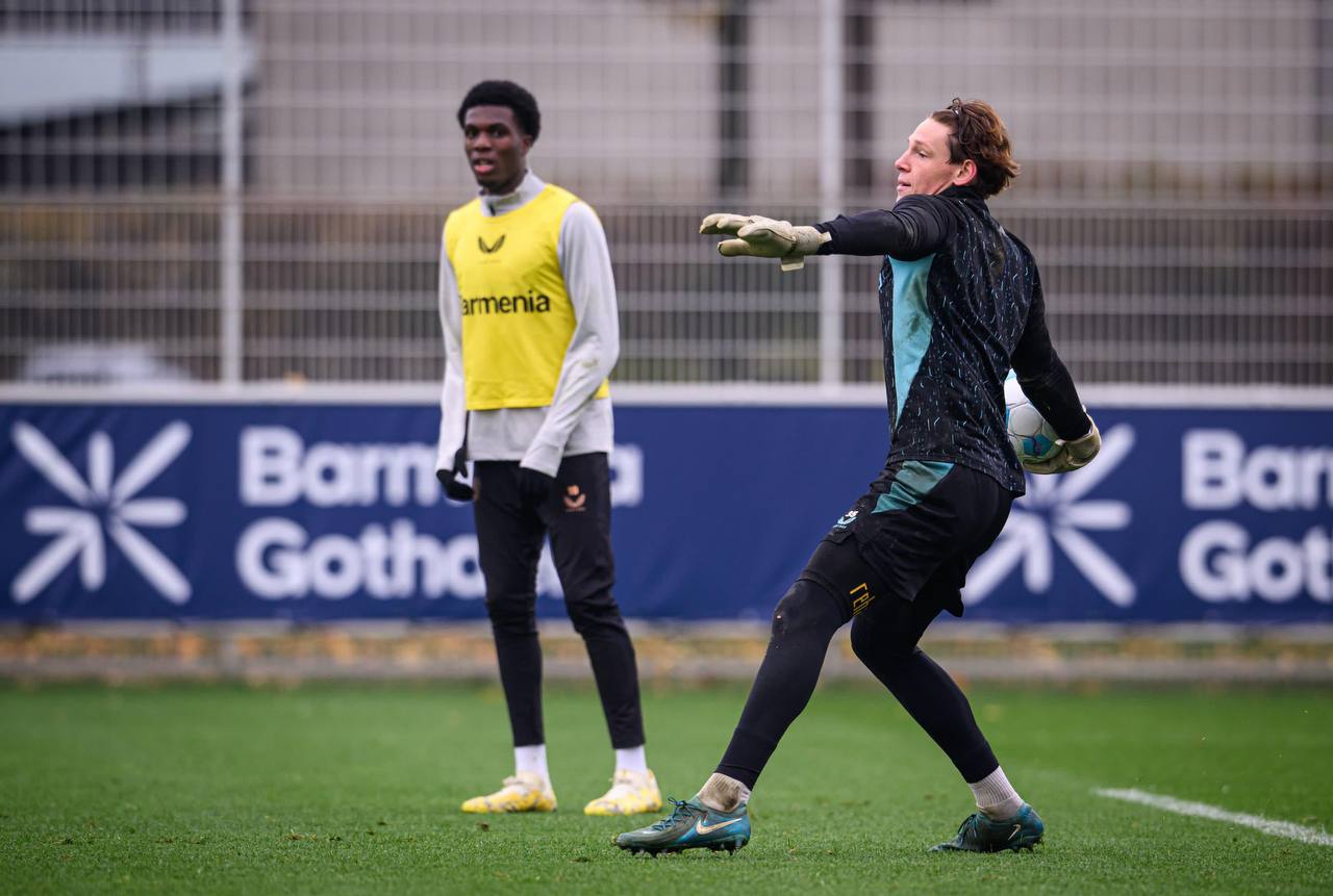 Brave GK Diamond Purple Goalkeeper Gloves - Official Brave GK Online Store