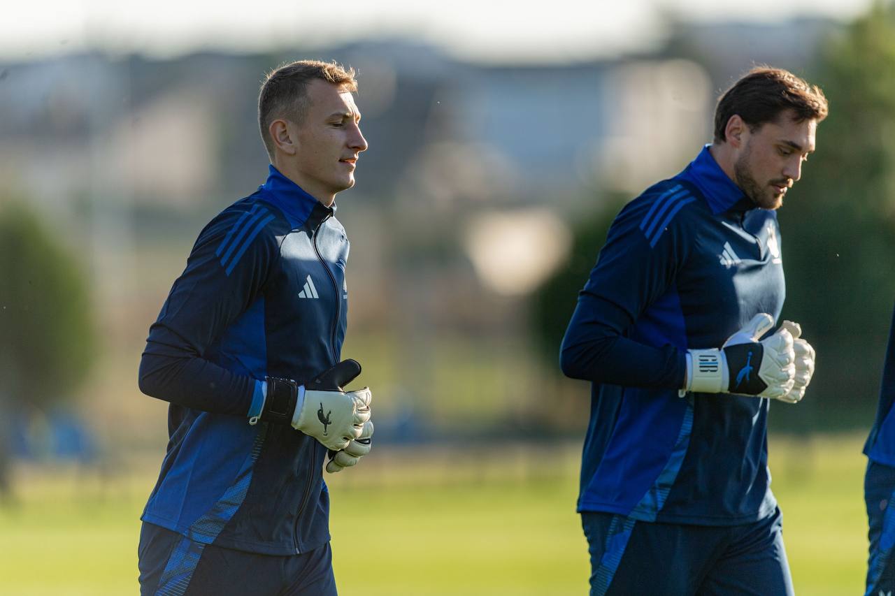 Brave GK Reaction gloves - Official Brave GK online store