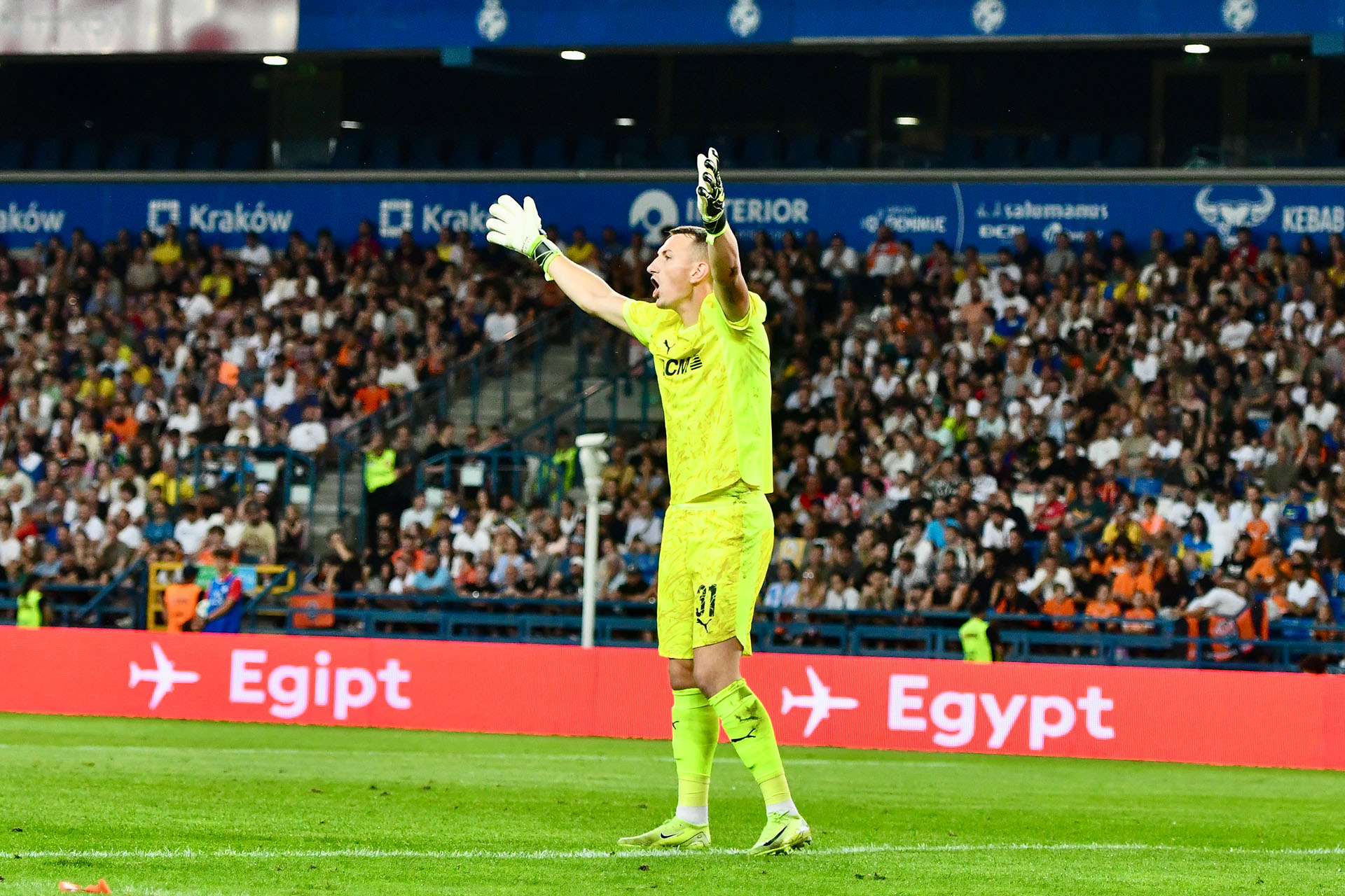 Brave GK Diamond D.R. goalkeeper gloves - Official Brave GK online shop