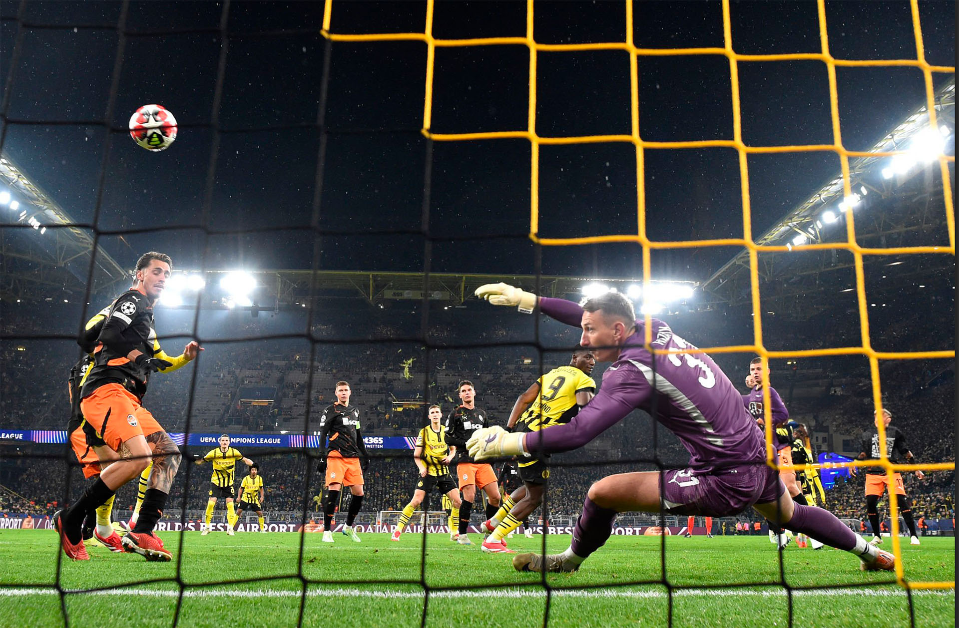 Brave GK Diamond Purple: gloves that help you win – Official Brave GK online store