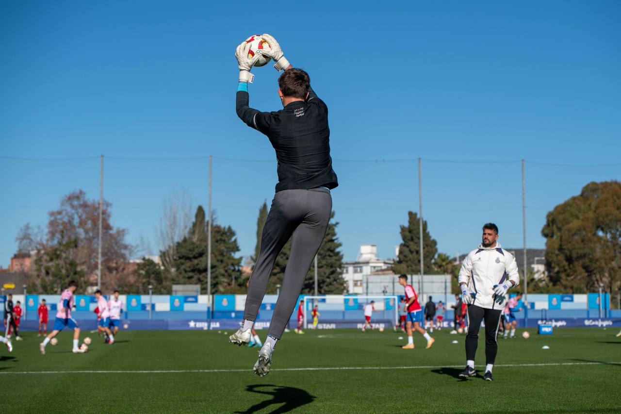 Brave GK Diamond Purple gloves - Official Brave GK online store