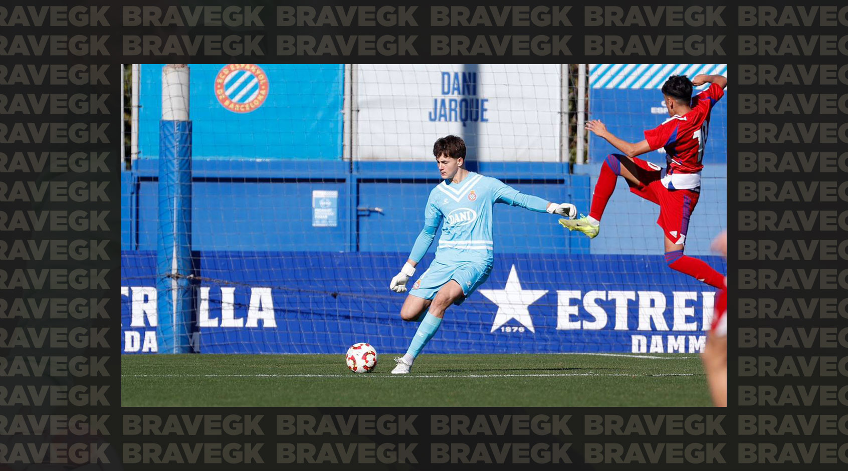 Egor Krapivin: Training with Brave GK Diamond Purple in 2025-Блог Brave GK