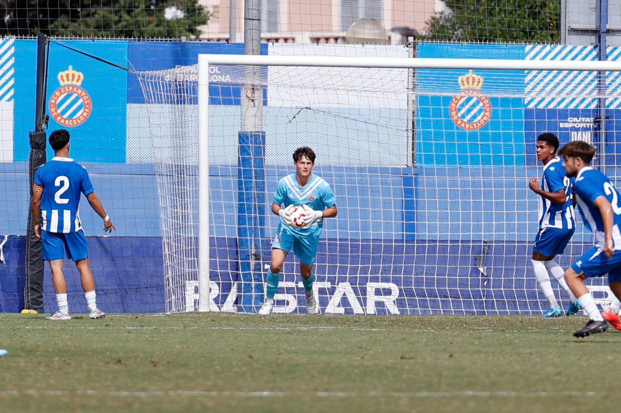 Brave GK Diamond Purple Gloves - Official Brave GK Online Store