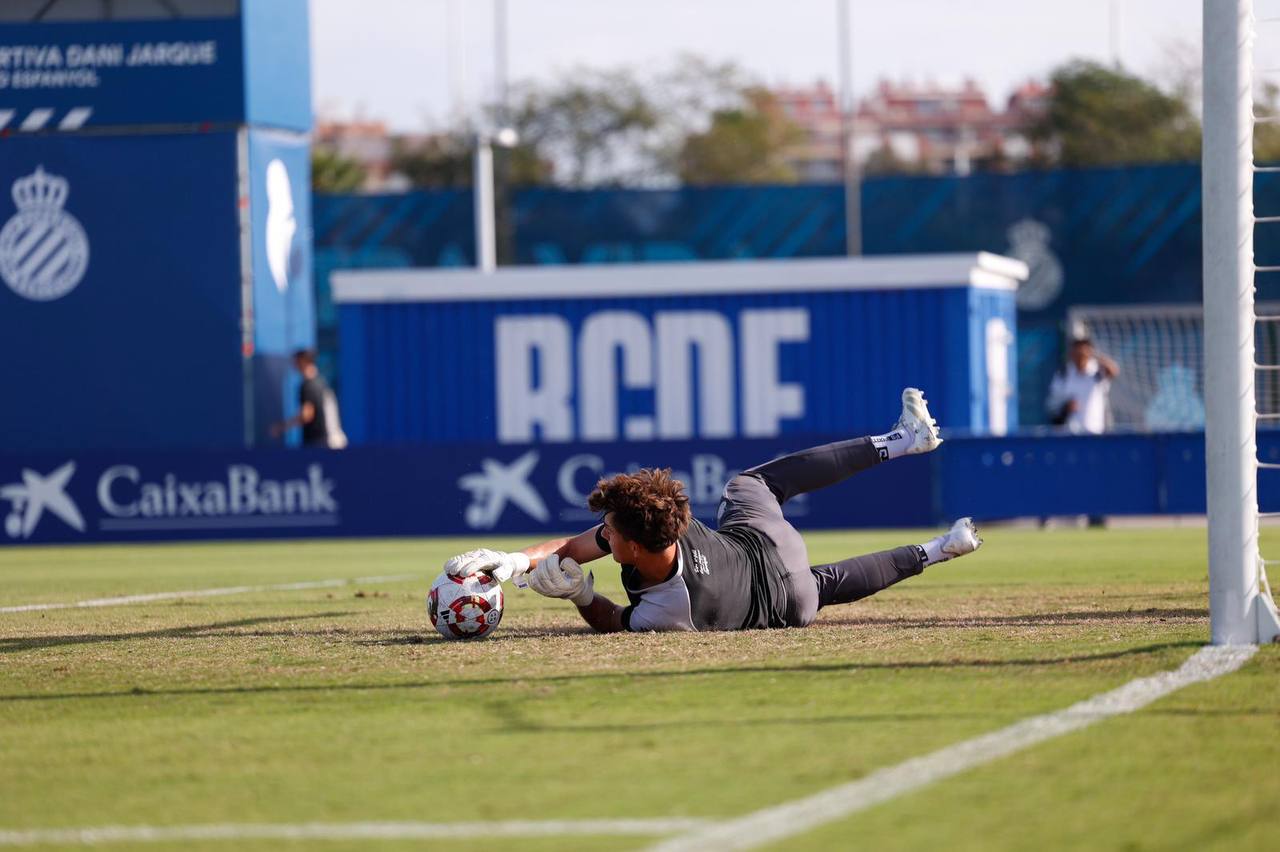 Brave GK Diamond Purple - Official Brave GK Online Store