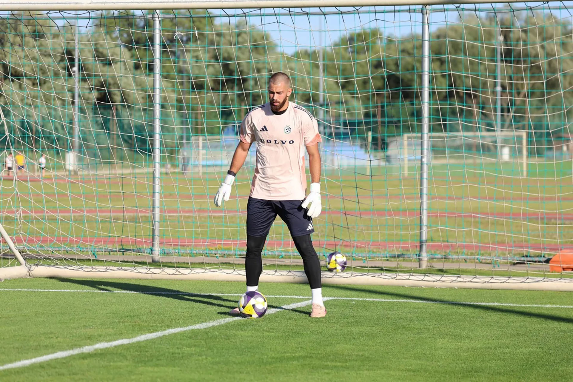 Brave GK Reaction Green Goalkeeper Gloves - Official Brave GK Online Store