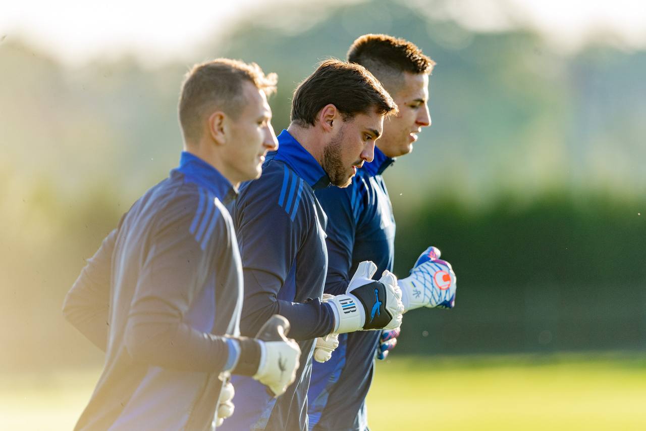 Brave GK Fury Pro and Brave GK Reaction - Official Brave GK online store