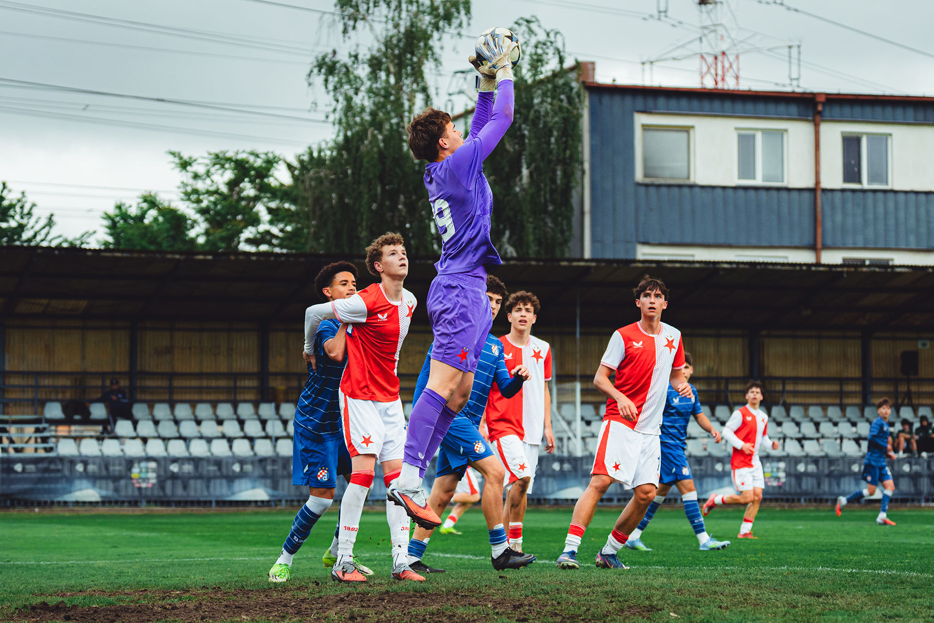Dominik Jeřábek in Brave GK Venom NWB gloves - Official Brave GK online store