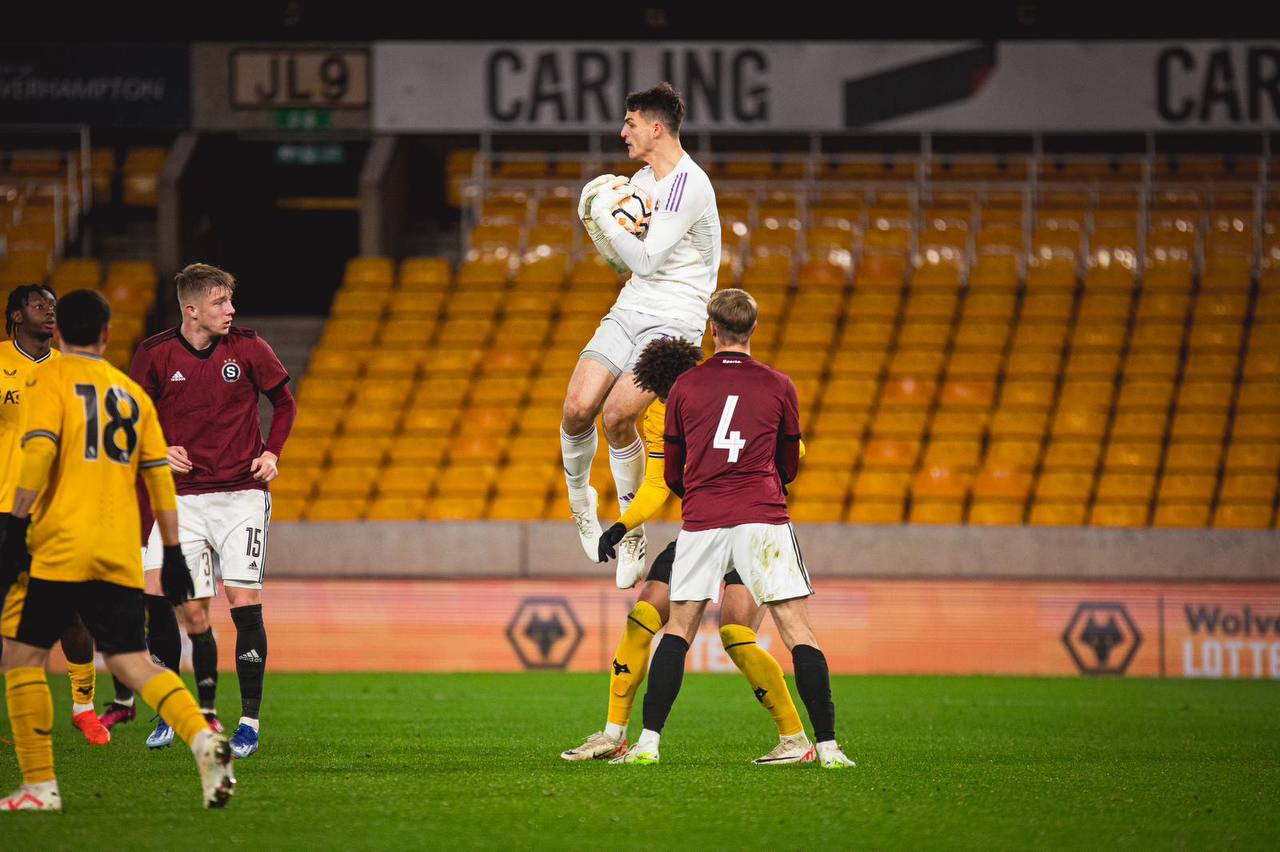 Goalkeeper Gloves Brave GK Venom – Official Brave GK Online Store