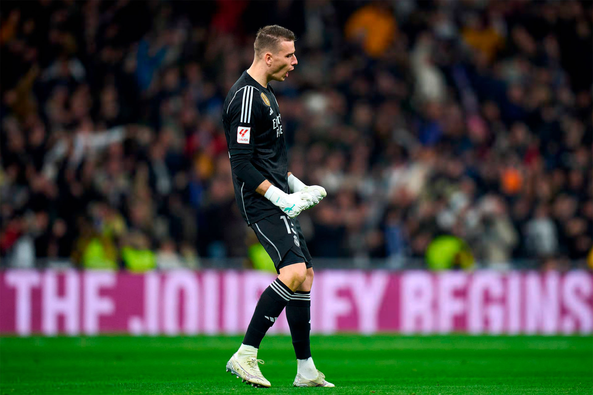 Professional goalkeeper gloves Brave GK Venom - official online store Brave GK