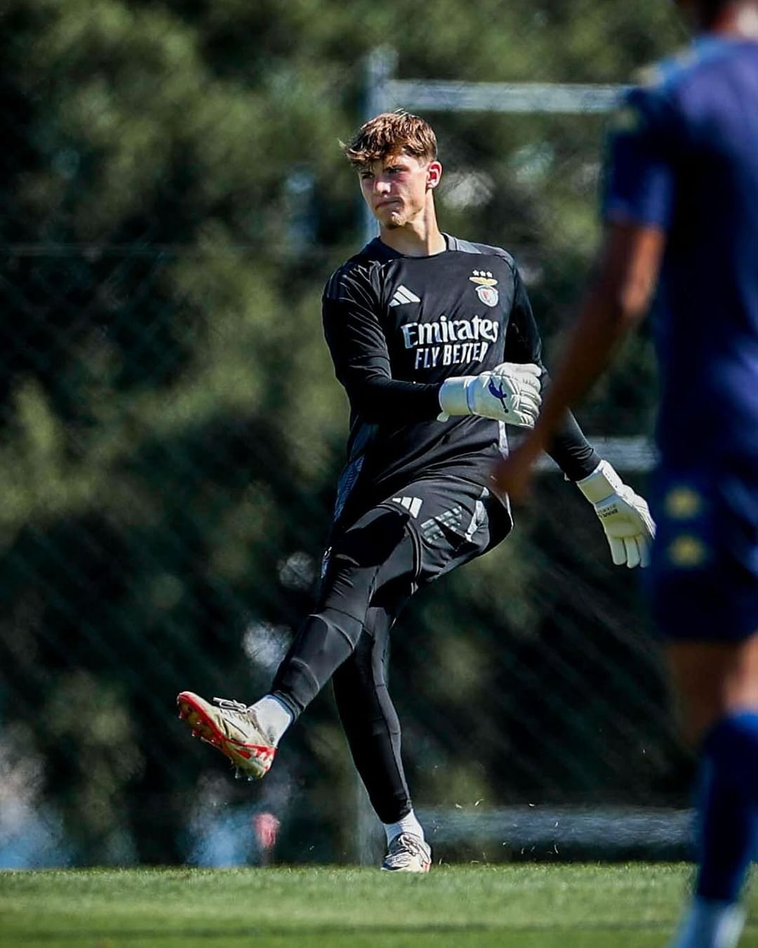 Arnas Vojtinovicius Brave GK Diamond Purple - Official Brave GK Online Store