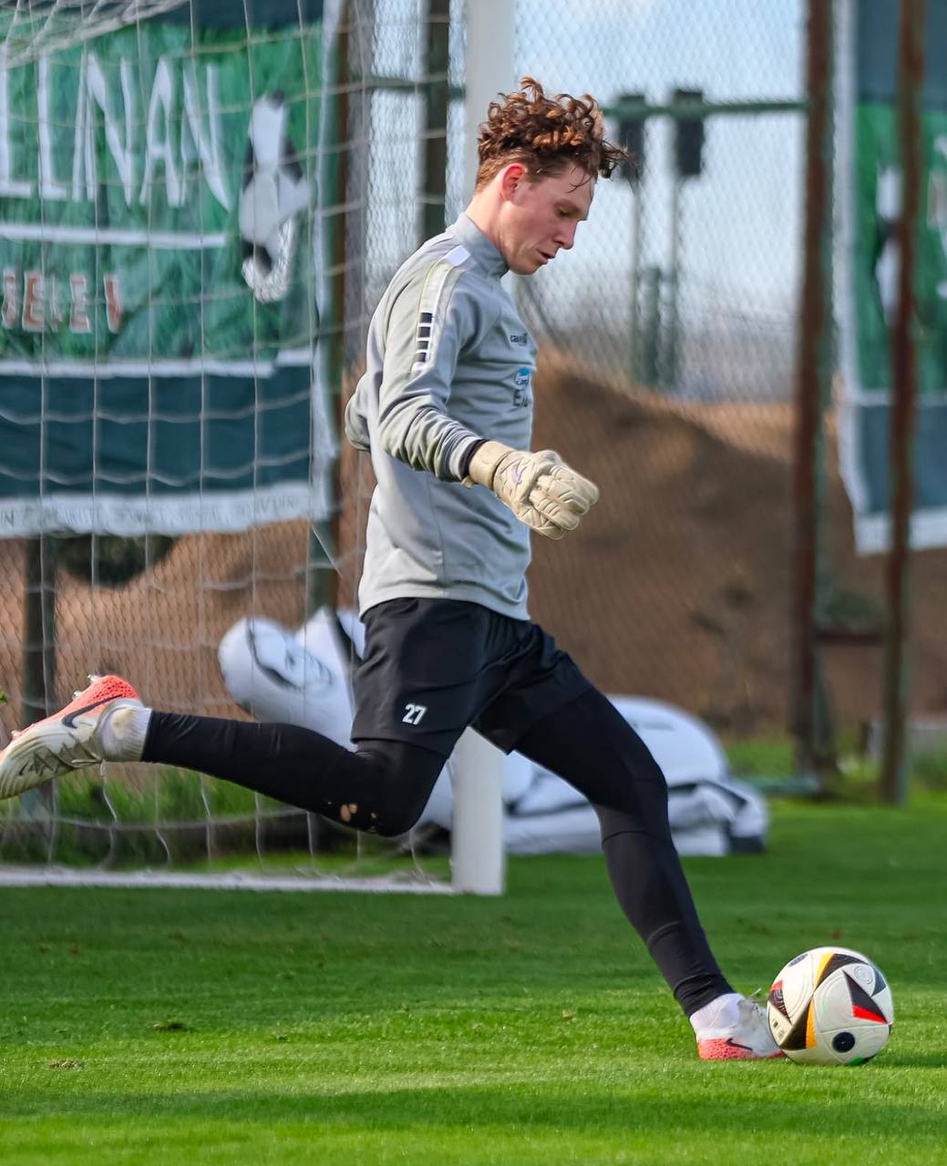 Brave GK Diamond Purple - Official online store Brave GK