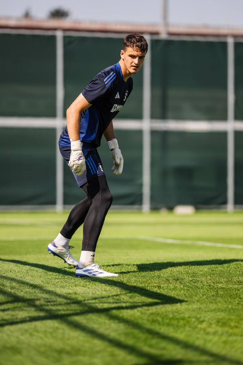 Overview of Surovčík's Brave GK Diamond Purple gloves - Official Brave GK online store