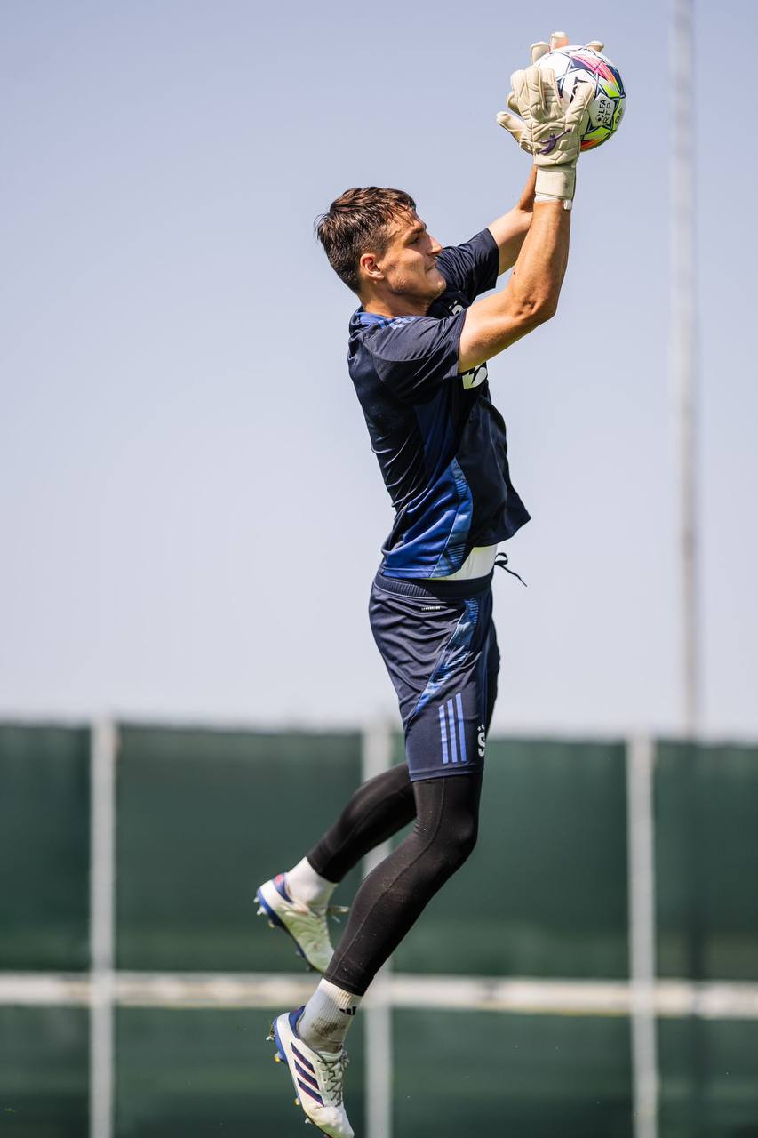 Brave GK Diamond Purple gloves - Official Brave GK online store