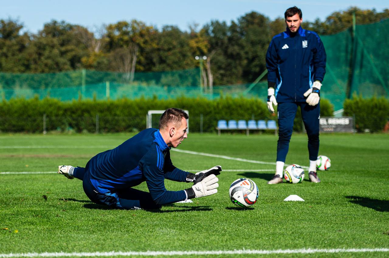 Riznyk in Brave GK Reaction gloves - Official Brave GK online store