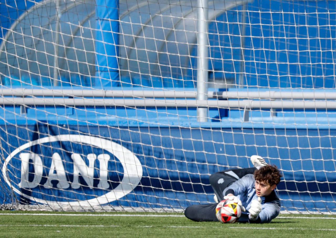 Brave GK Diamond White - Official Brave GK online store